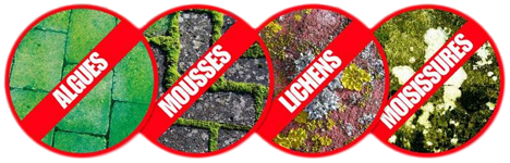 traitement anti-mousse stop aux mousses et lichens