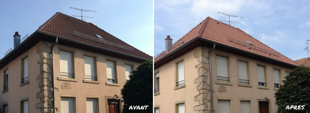 nettoyage toiture anti-mousse