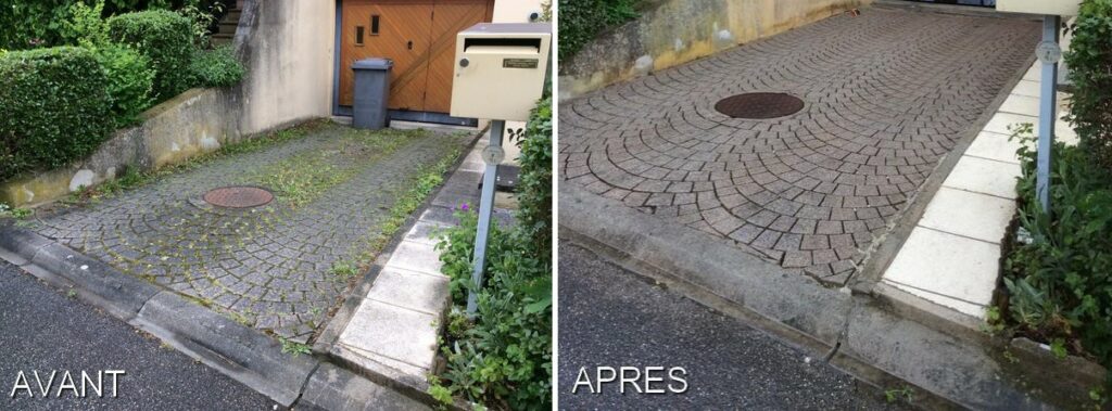 pavé traitement anti-mousse