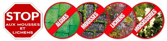 stop aux mousses